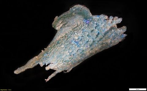 Colour photograph. Magnified photograph of a rock or mineral in opalescent white and blue, showing a close-up view of its surface and texture against a black backdrop.