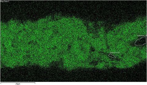 Colour photograph. A green and black textural image with the appearance of a scientific study. In the top left, text reads ‘Map Data 2’ and in the lower portion of the right image, two areas are encircled in white, and labelled ‘Spectrum 24’, and ‘Spectrum 25’.