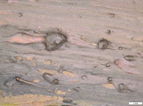 Colour photograph. Close-up detail of a passage of pink and grey paint with a textural surface. Two lightly raised areas can be seen in the centre of the image. On the lower left yellow text reads, ‘Magnification: 1.2 x’. On the right, a small white rectangle bears text reading ‘1 mm’.