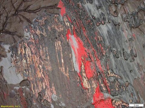 Colour photograph. A close-up, detailed study of a textural area of paint, featuring shades of red and brown, with a glossy appearance. On the lower left yellow text reads, ‘Magnification: 0.67 x’. On the right, a small white rectangle bears the text ‘2 mm’.