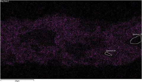 Colour photograph. A green and purple textural image with the appearance of a scientific study. In the top left, text reads ‘Map Data 2’ and in the lower portion of the right image, two areas are encircled in white, and labelled ‘Spectrum 24’, and ‘Spectrum 25’.