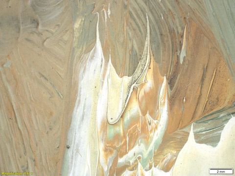 Colour photograph. A close-up, detailed study of a textural area of paint, featuring shades of yellow and beige, with a glossy appearance. On the lower left yellow text reads, ‘Magnification: 0.67’. On the right, a small white rectangle bears the text ‘2 mm’.